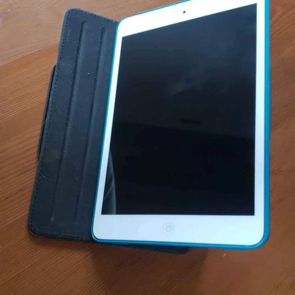 iPad mini 2